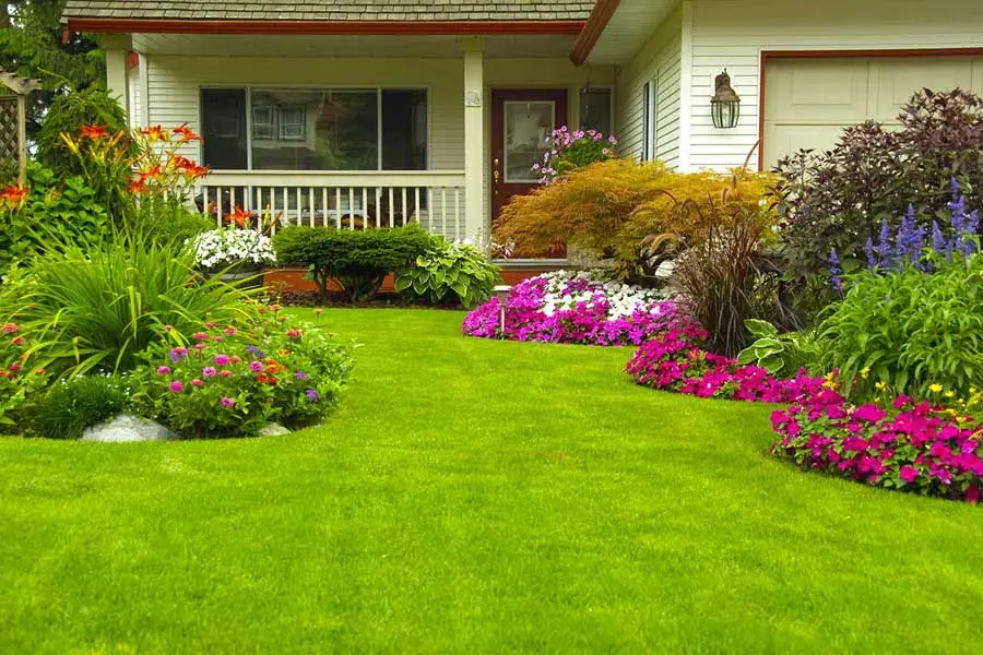 Landscaping